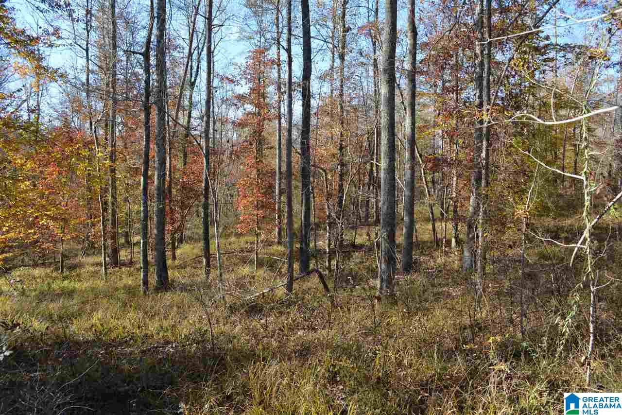 8333 Chelsea Road, Unit 2 Columbiana, AL 35051 - Photo 5 of 13