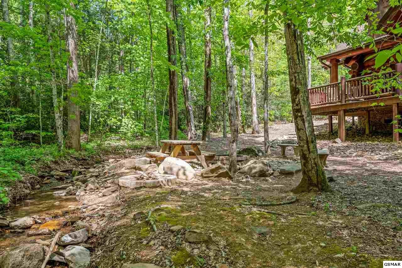 640 Pinnacle Vista Road, Unit EMMASPLACE Gatlinburg, TN 37738 - Photo 8 of 36 Gallery Image 8