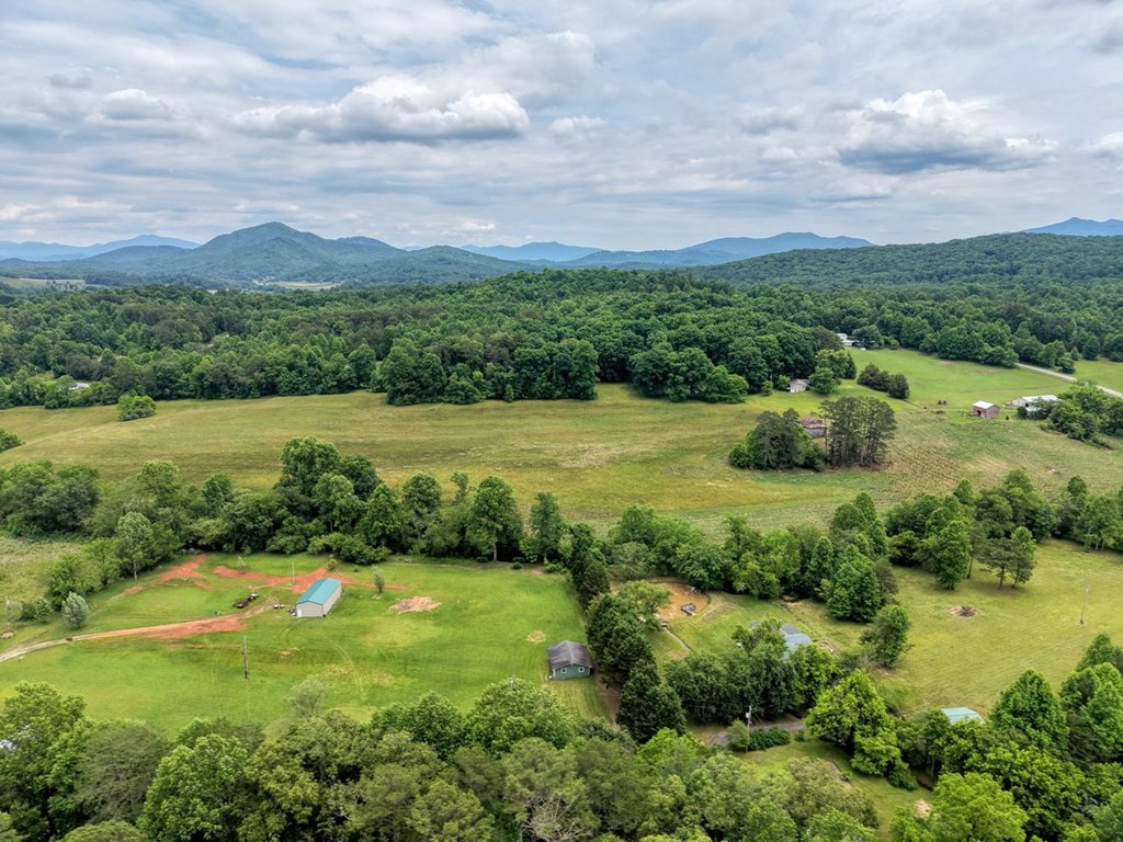 233 Messer Road Warne, NC 28909 - Photo 44 of 47