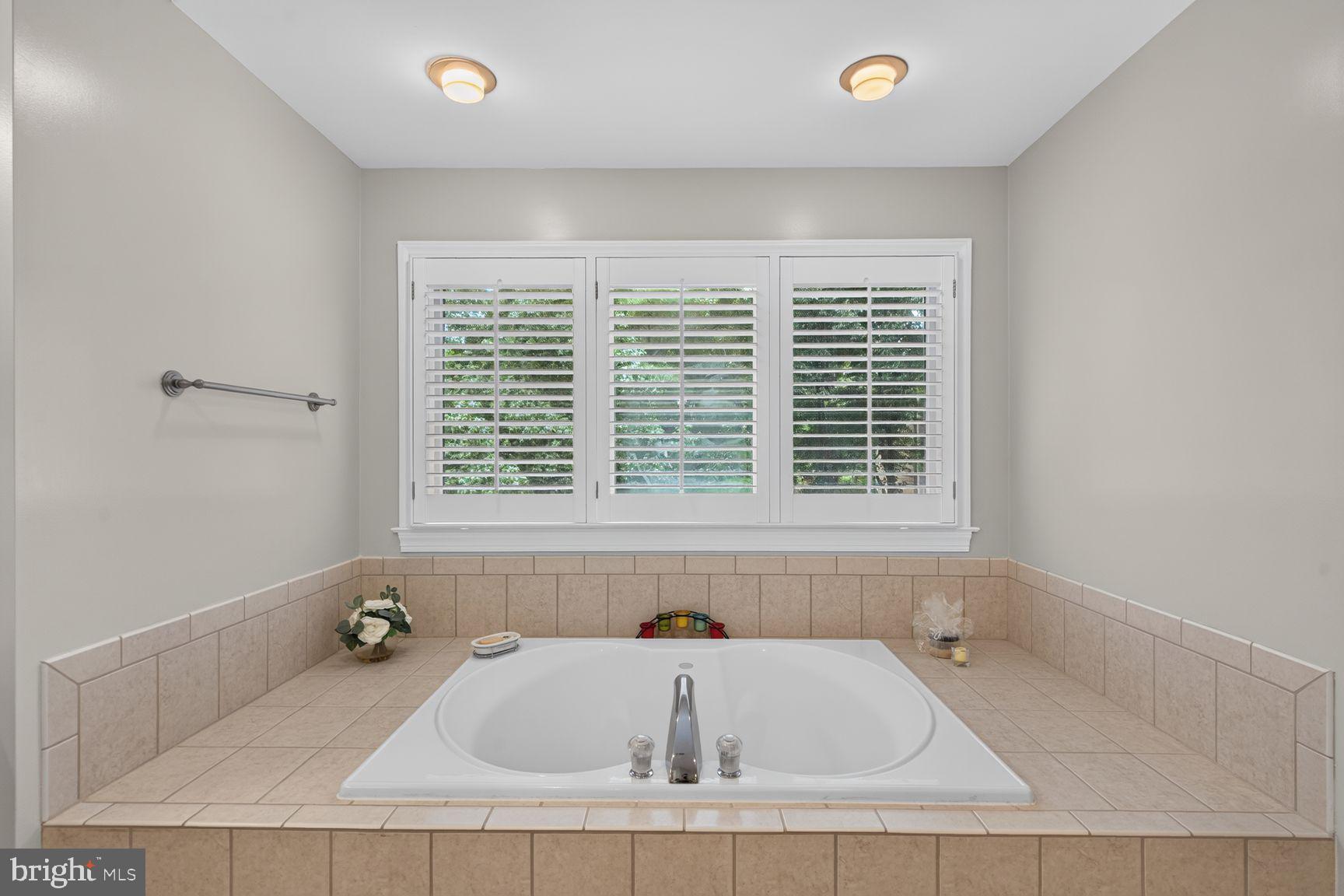 11081 Pelham Manor Place Reston, VA 20194 - Photo 29 of 99 Serene bath retreat with natural light.