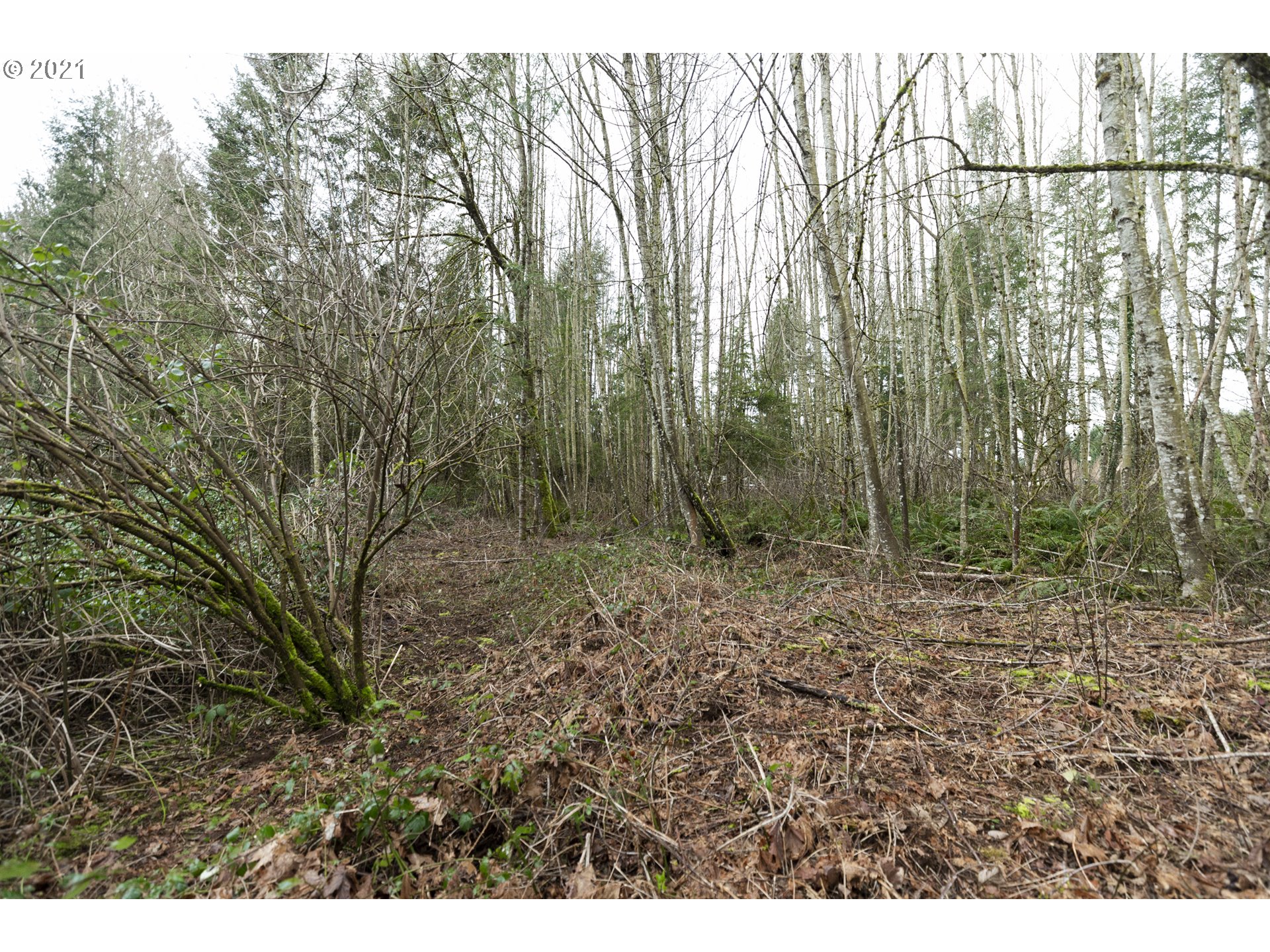 44285 Southeast Warriner Road Corbett, OR 97019 - Photo 12 of 17 Gallery Image 12