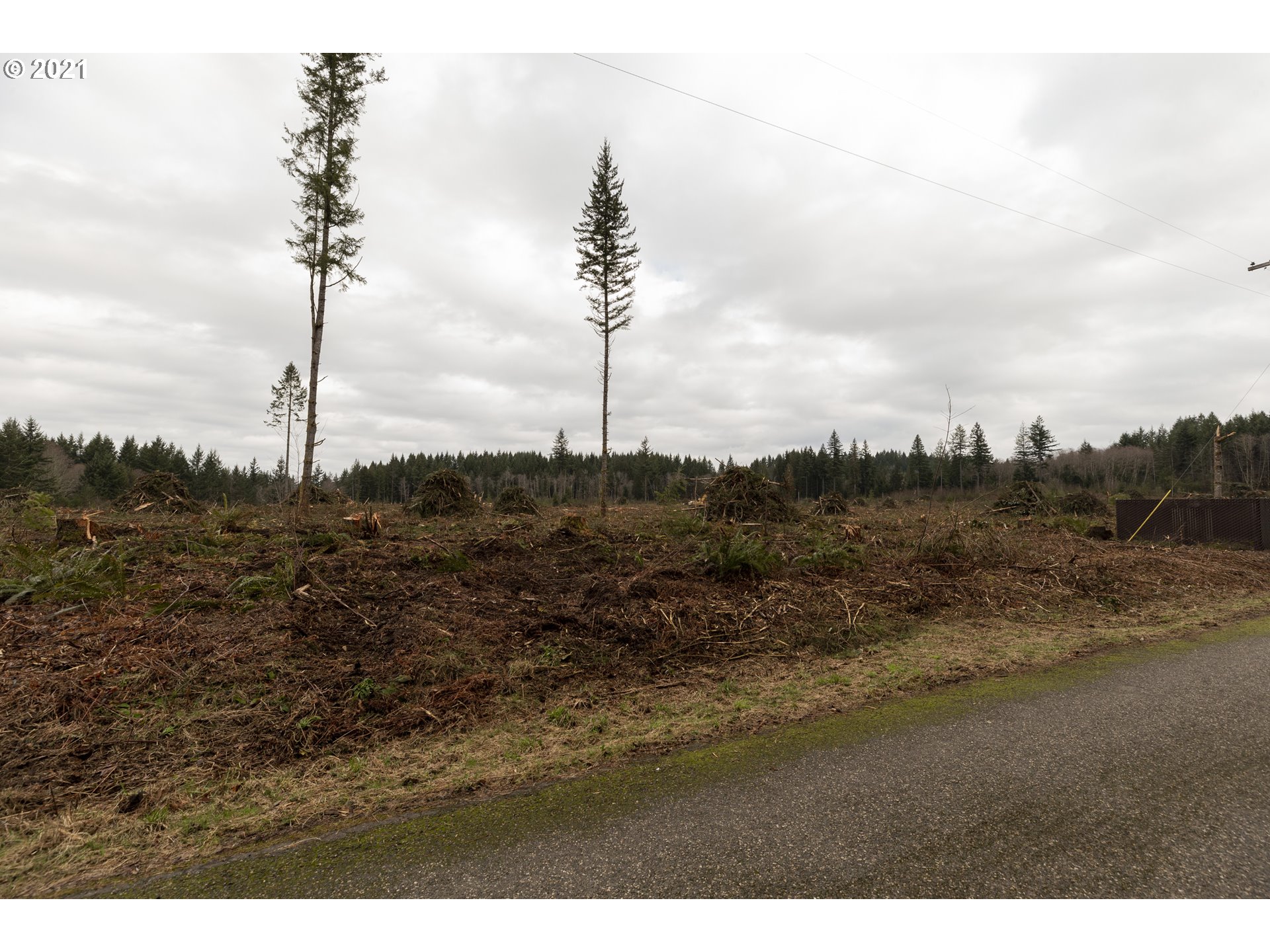 44285 Southeast Warriner Road Corbett, OR 97019 - Photo 13 of 17 Gallery Image 13