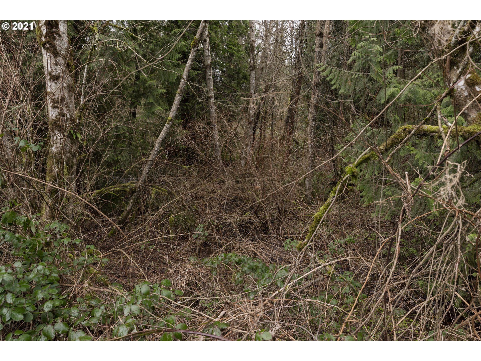 44285 Southeast Warriner Road Corbett, OR 97019 - Photo 14 of 17 Gallery Image 14