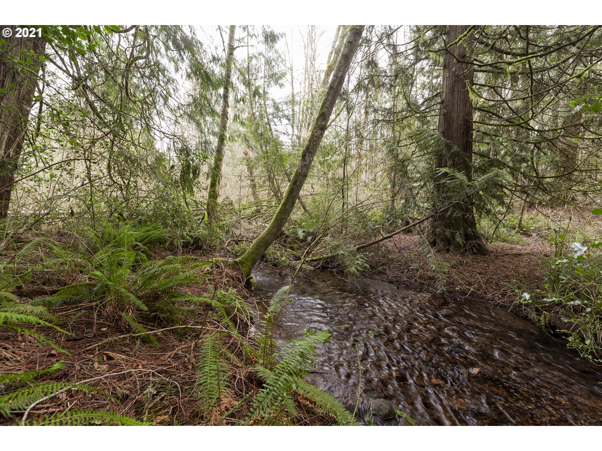 44285 Southeast Warriner Road Corbett, OR 97019 - Photo 15 of 17 Gallery Image 15