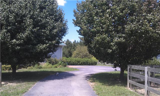 34 Vaughn Staggs Road Summertown, TN 38483 - Photo 12 of 20 Gallery Image 12