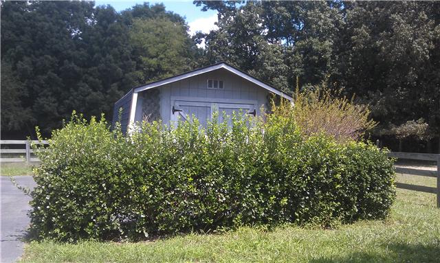34 Vaughn Staggs Road Summertown, TN 38483 - Photo 13 of 20 Gallery Image 13