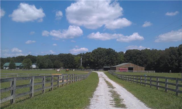 34 Vaughn Staggs Road Summertown, TN 38483 - Photo 3 of 20 Gallery Image 3