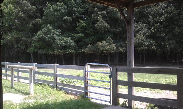 34 Vaughn Staggs Road Summertown, TN 38483 - Photo 9 of 20 Gallery Image 9