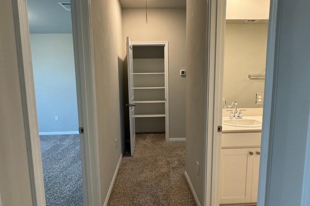 12604 Dairywork Road Buda, TX 78610 - Photo 13 of 20 A well-lit corridor provides access to a spacious bedroom, a convenient hallway closet, and a pristine bathroom vanity.