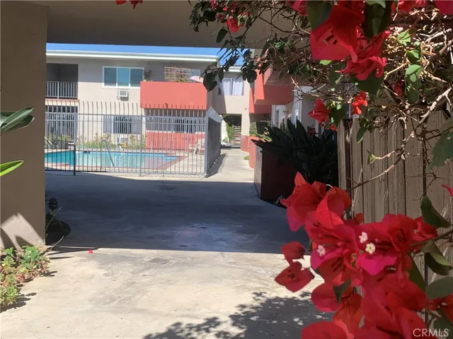 a view of a park with plants and trees