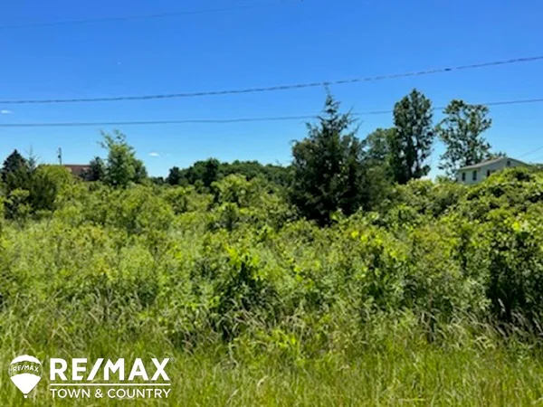 $27,000 | 0 East Wilson Road, Clio, MI 48420