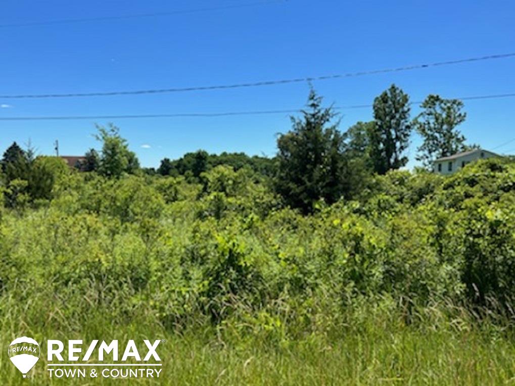 0 East Wilson Road Clio, MI 48420 - Photo 1 of 4