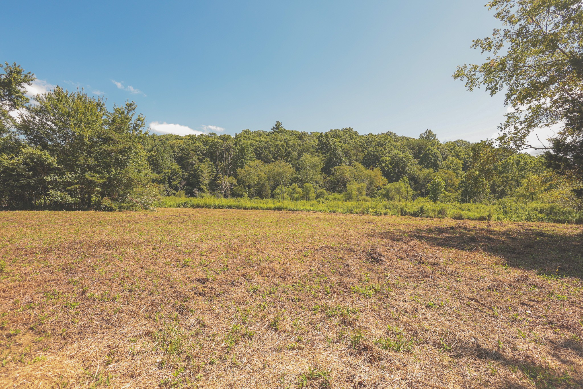 0 Grapevine Road Crossville, TN 38572 - Photo 14 of 57 Gallery Image 14
