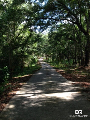 9119 Mosley Road Fairhope, AL 36532 - Photo 2 of 41 Main Drive Way