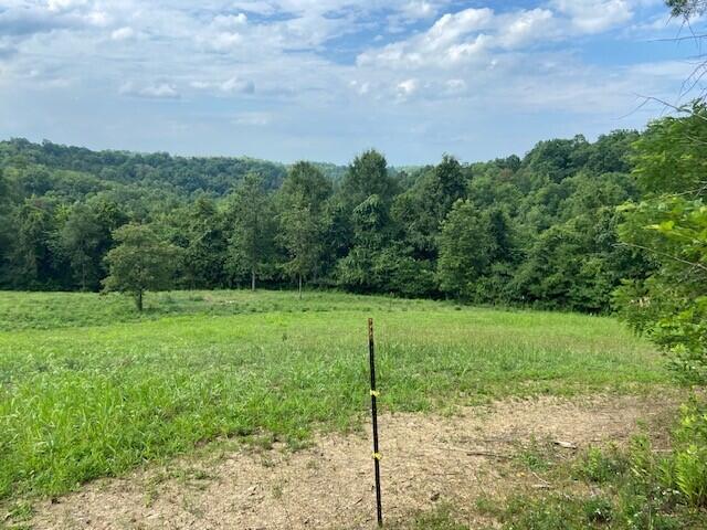 1383 Union Chapel Road Foster, KY 41043 - Photo 1 of 16 Gallery Image 1