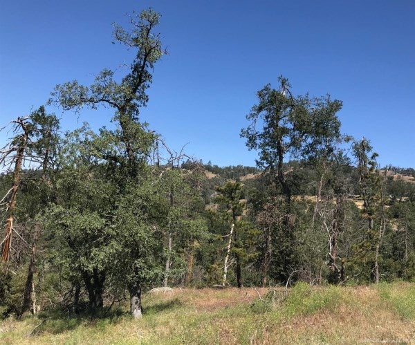 29640 Goldspike Road Tehachapi, CA 93561 - Photo 1 of 9 Gallery Image 1