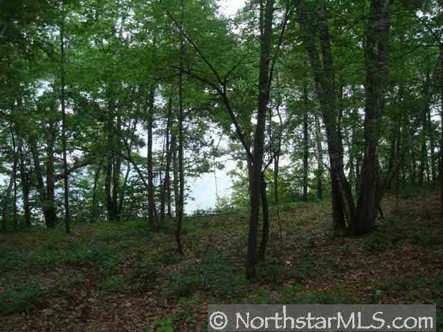 Xxx 6th Lake Road Akeley, MN 56484 - Photo 5 of 6 Gallery Image 5