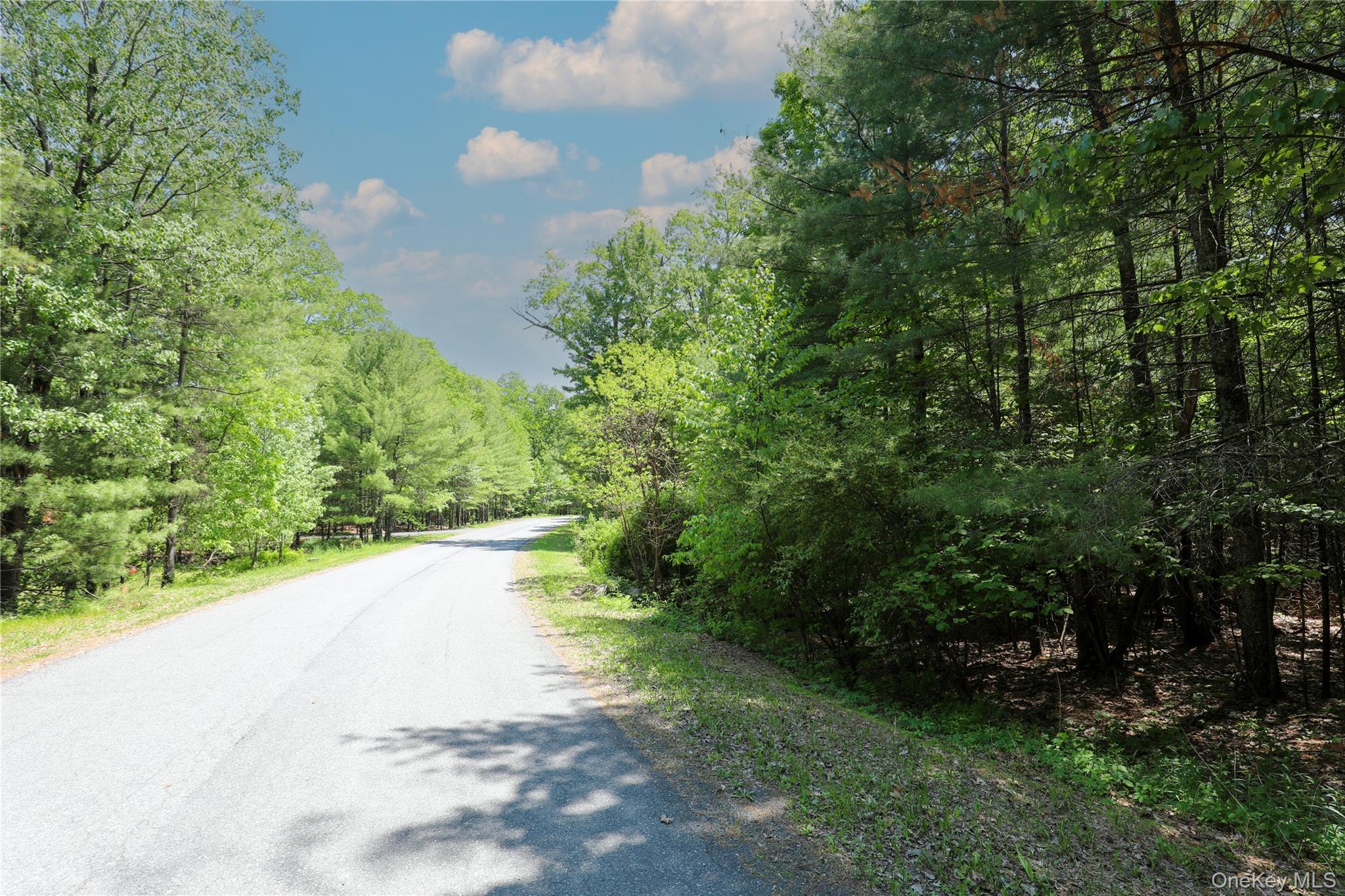 Tbd Bristol Hill Road Hurley, NY 12443 - Photo 15 of 17 a view of a street view