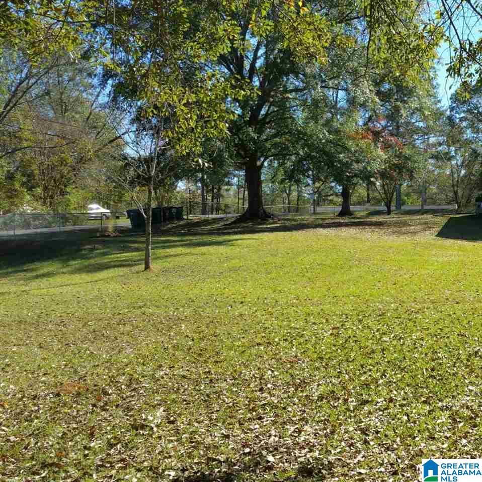 310 Union Chapel Road Northport, AL 35473 - Photo 15 of 29