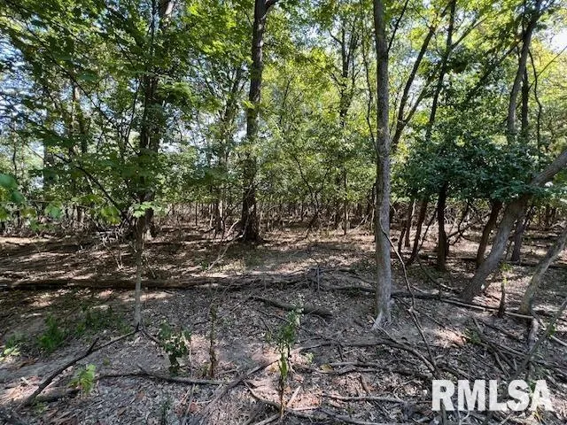 $29,500 | 0 Barnett Avenue, Carterville, IL 62918