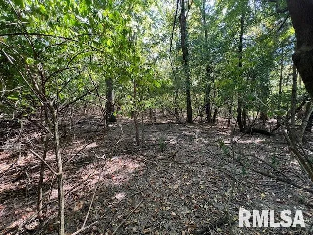 $29,500 | 0 Barnett Avenue, Carterville, IL 62918