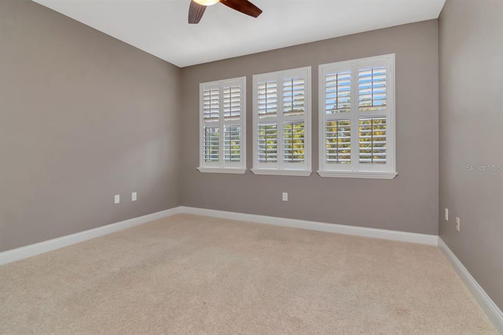 1900 Paw Paw Place Trinity, FL 34655 - Photo 43 of 68