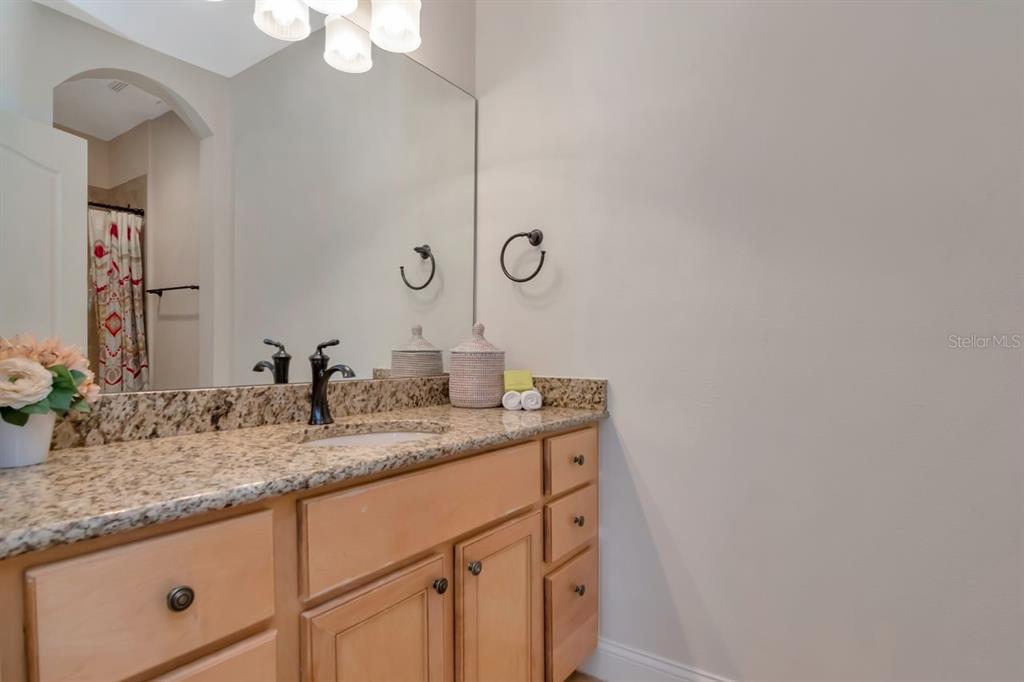 1900 Paw Paw Place Trinity, FL 34655 - Photo 44 of 68