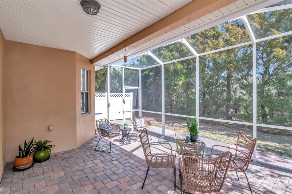 1900 Paw Paw Place Trinity, FL 34655 - Photo 50 of 68