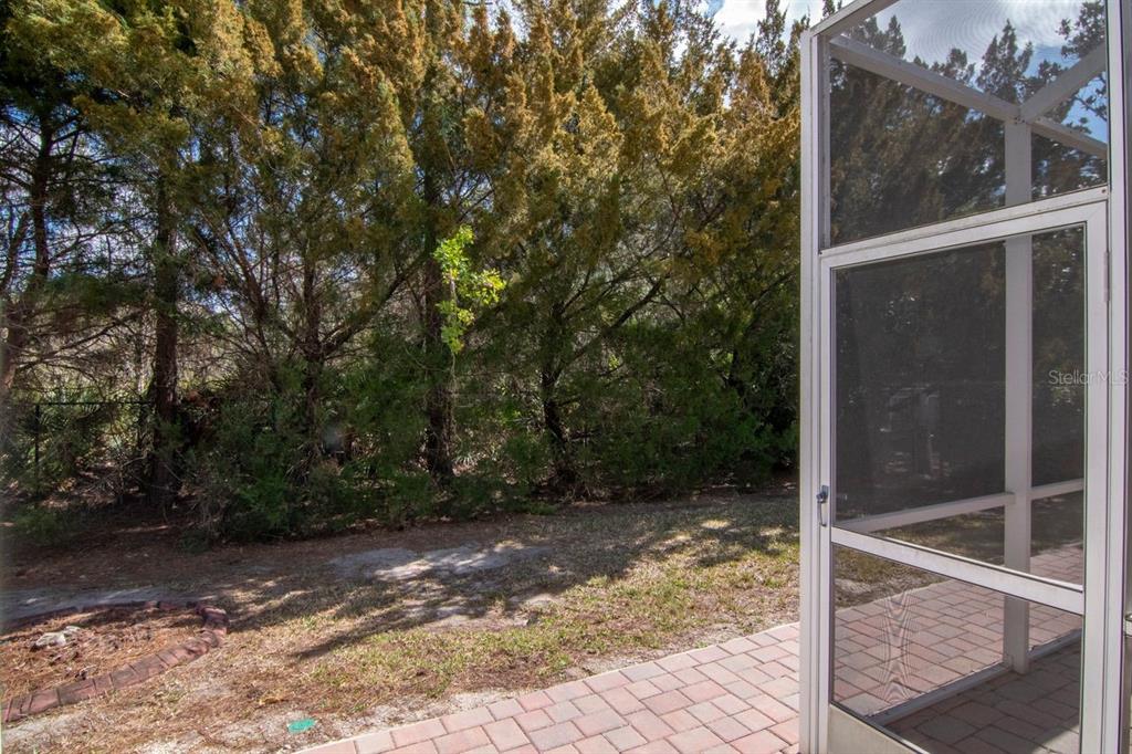 1900 Paw Paw Place Trinity, FL 34655 - Photo 52 of 68