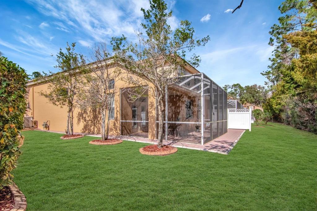 1900 Paw Paw Place Trinity, FL 34655 - Photo 56 of 68