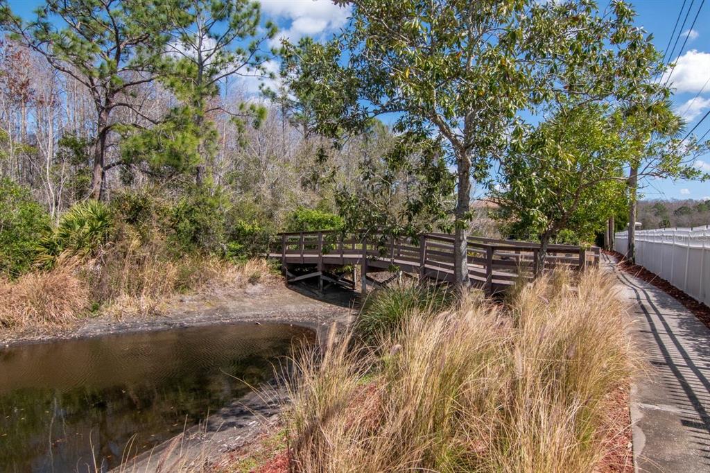 1900 Paw Paw Place Trinity, FL 34655 - Photo 63 of 68