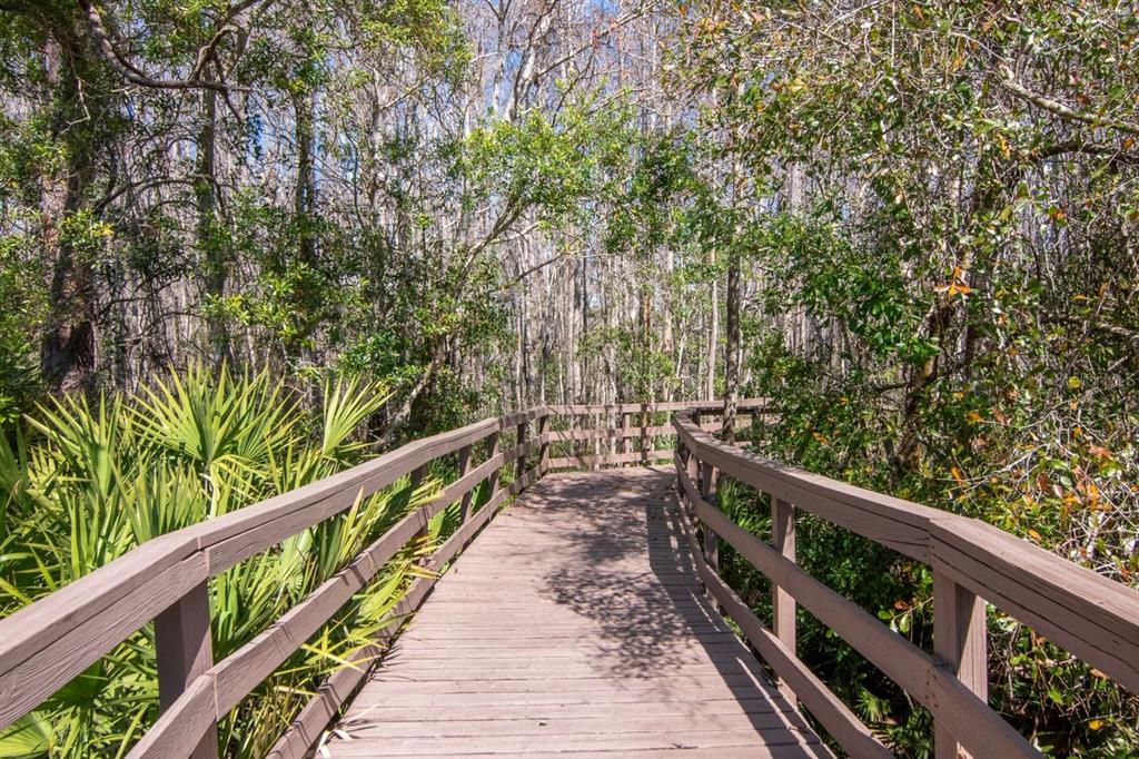 1900 Paw Paw Place Trinity, FL 34655 - Photo 64 of 68