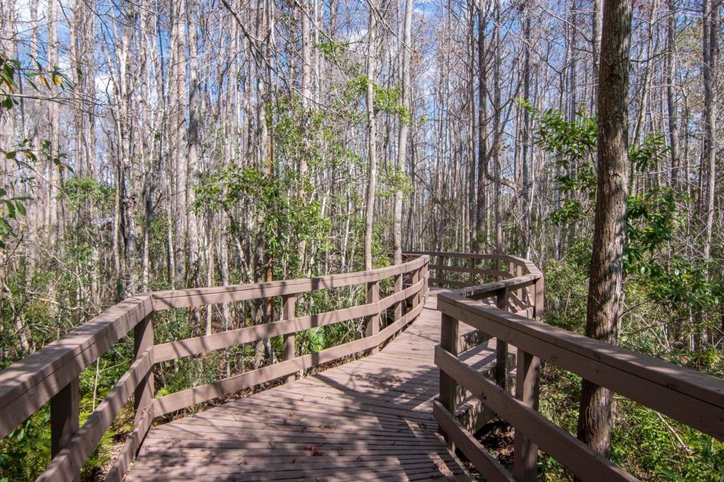 1900 Paw Paw Place Trinity, FL 34655 - Photo 65 of 68