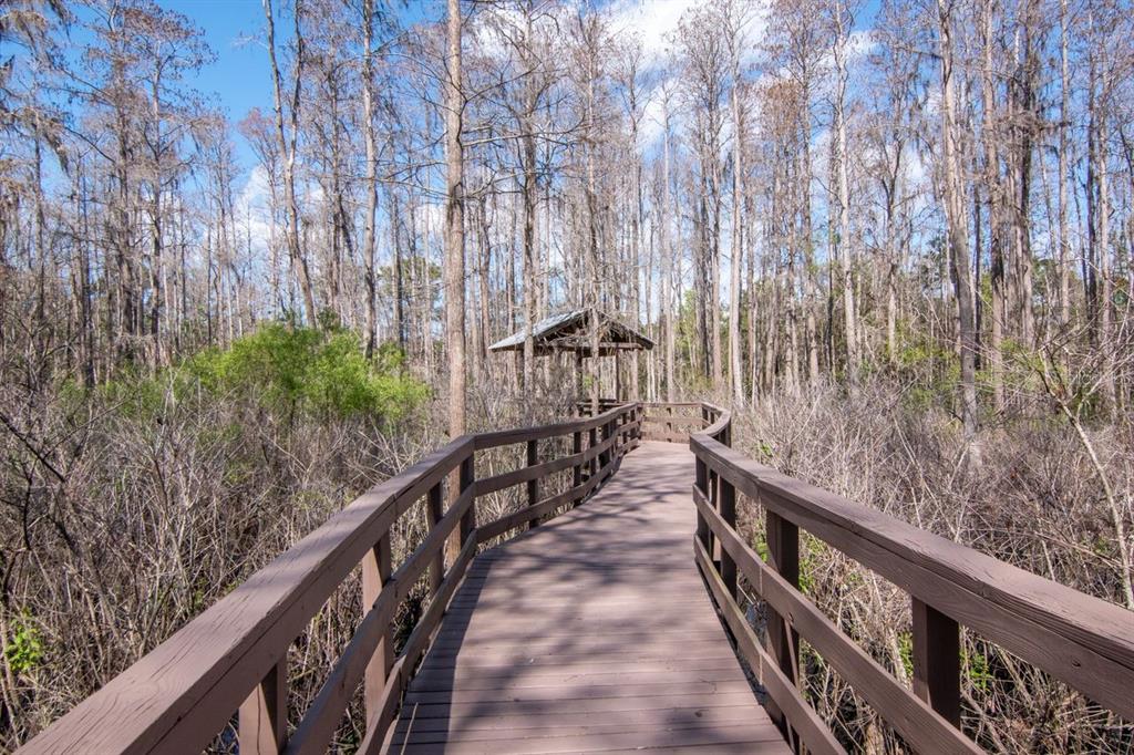 1900 Paw Paw Place Trinity, FL 34655 - Photo 66 of 68