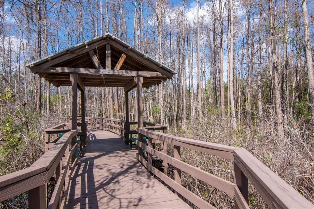 1900 Paw Paw Place Trinity, FL 34655 - Photo 67 of 68