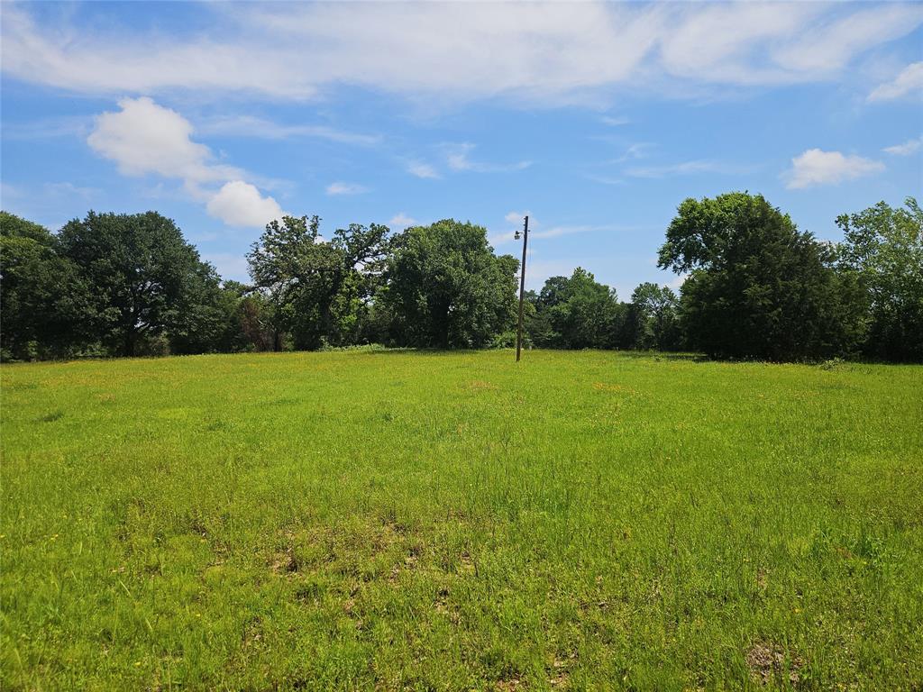 39 S South Groesbeck, TX 76642 - Photo 3 of 17