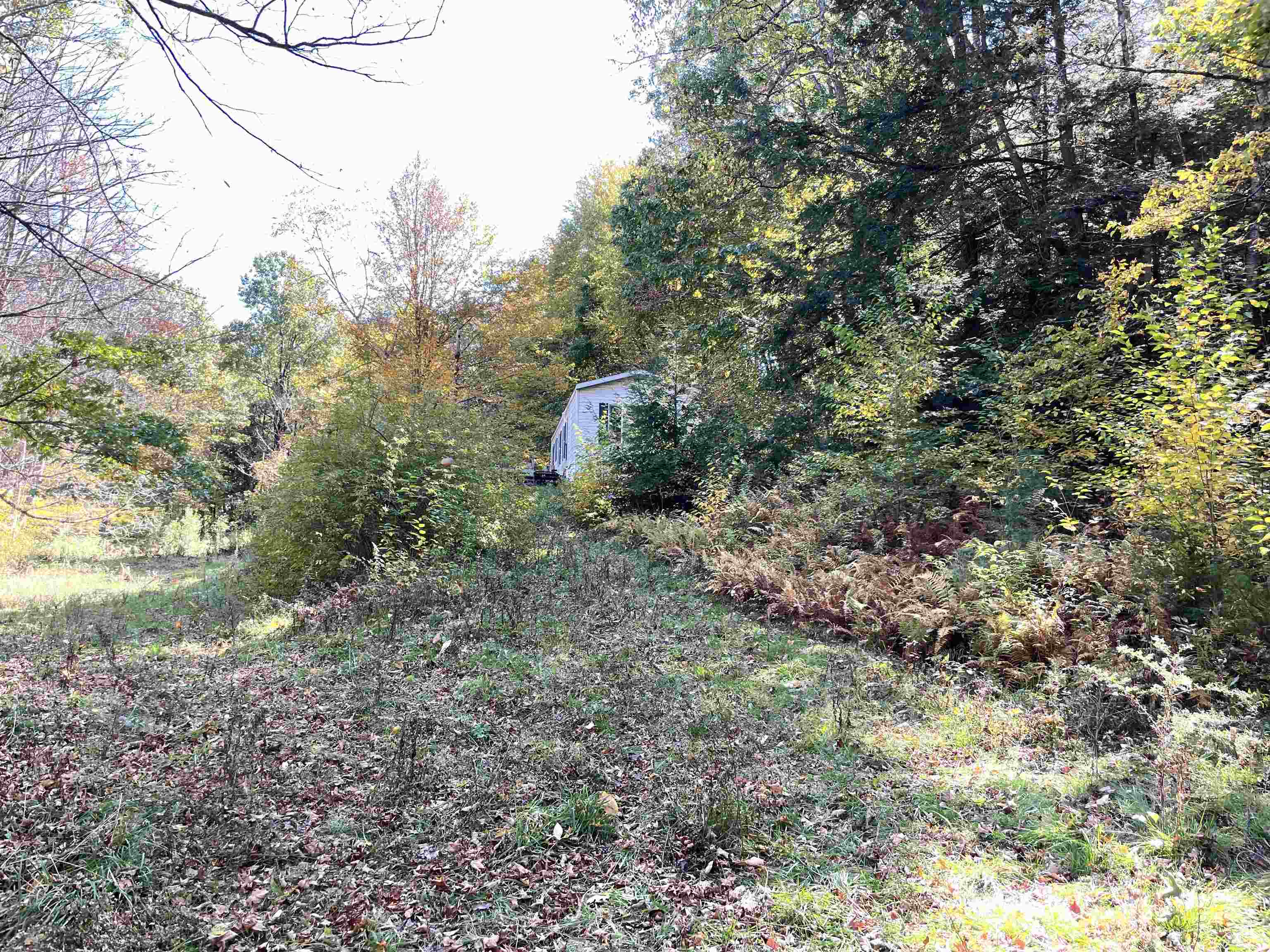 63 Camp Brook Road Alstead, NH 03602 - Photo 2 of 18