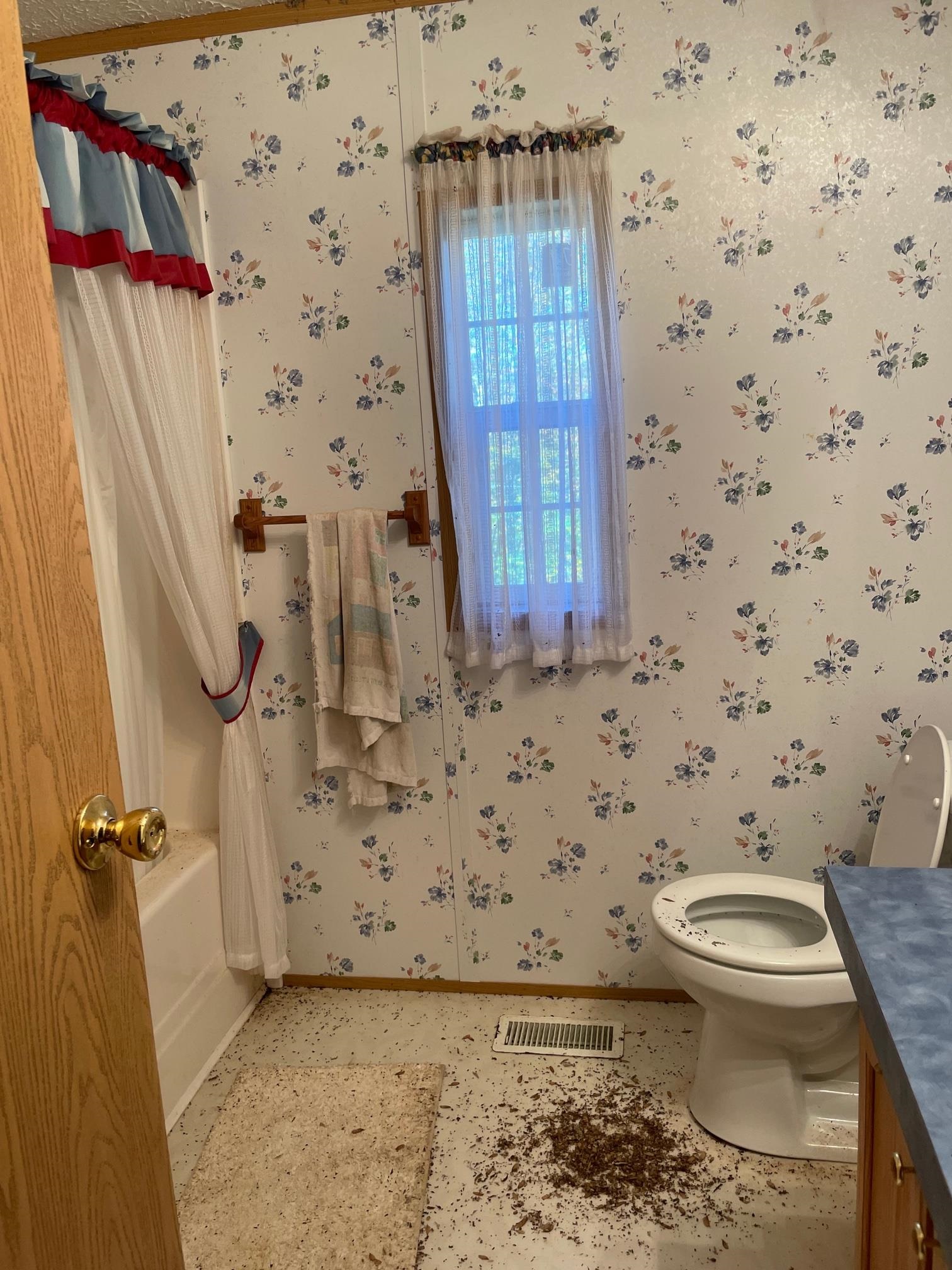 63 Camp Brook Road Alstead, NH 03602 - Photo 13 of 18