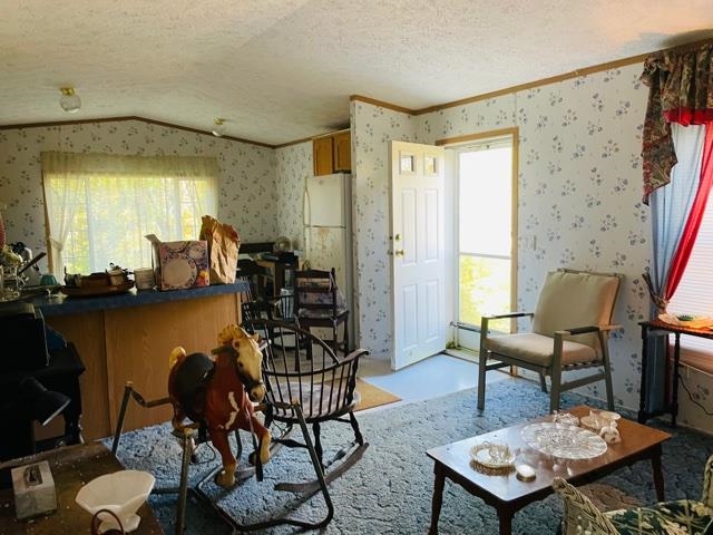 63 Camp Brook Road Alstead, NH 03602 - Photo 6 of 18