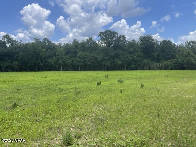 0 Peanut Road Graceville, FL 32440 - Photo 8 of 13