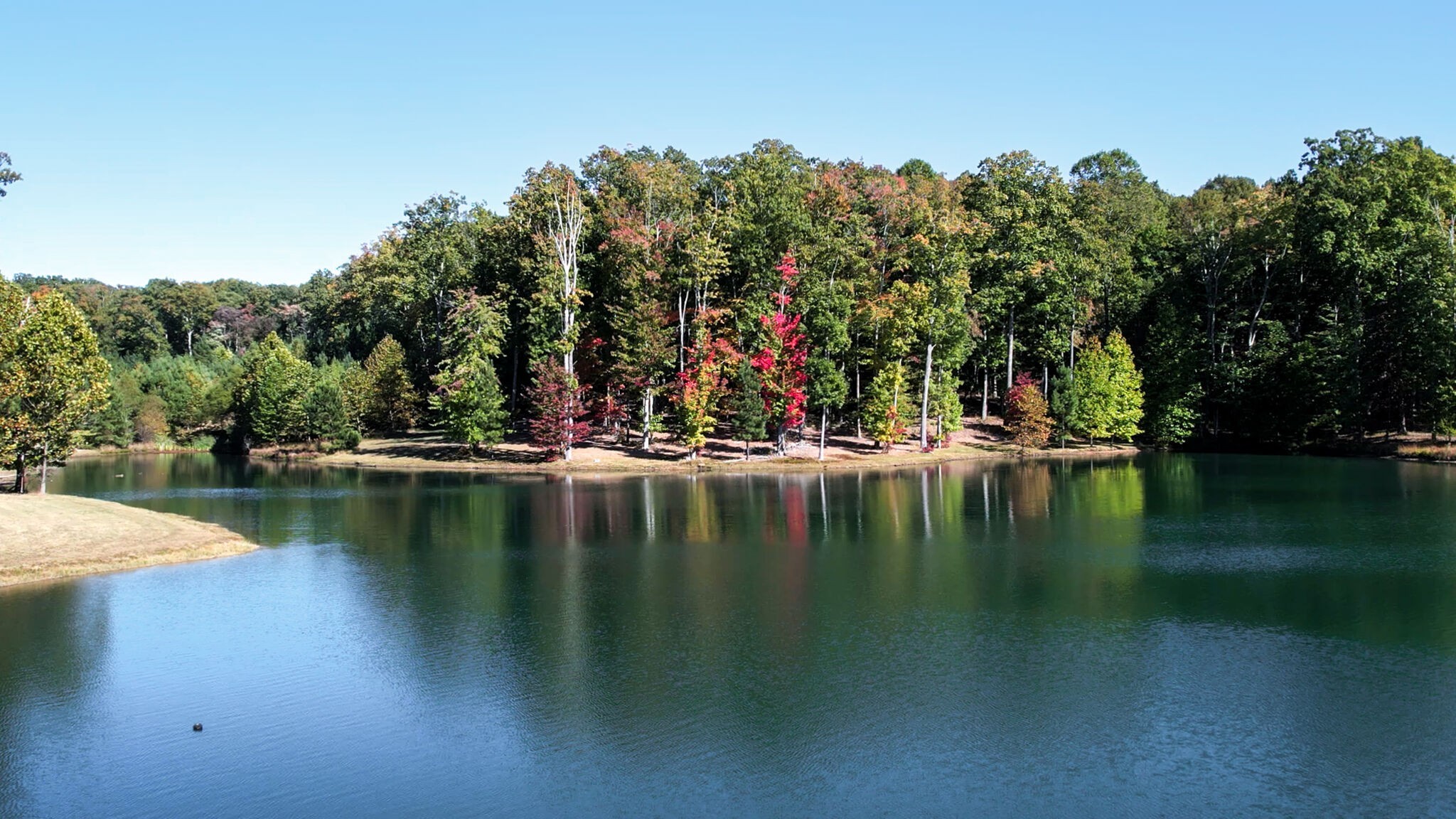 1 Myers Point Road Sewanee, TN 37375 - Photo 25 of 28 Gallery Image 25