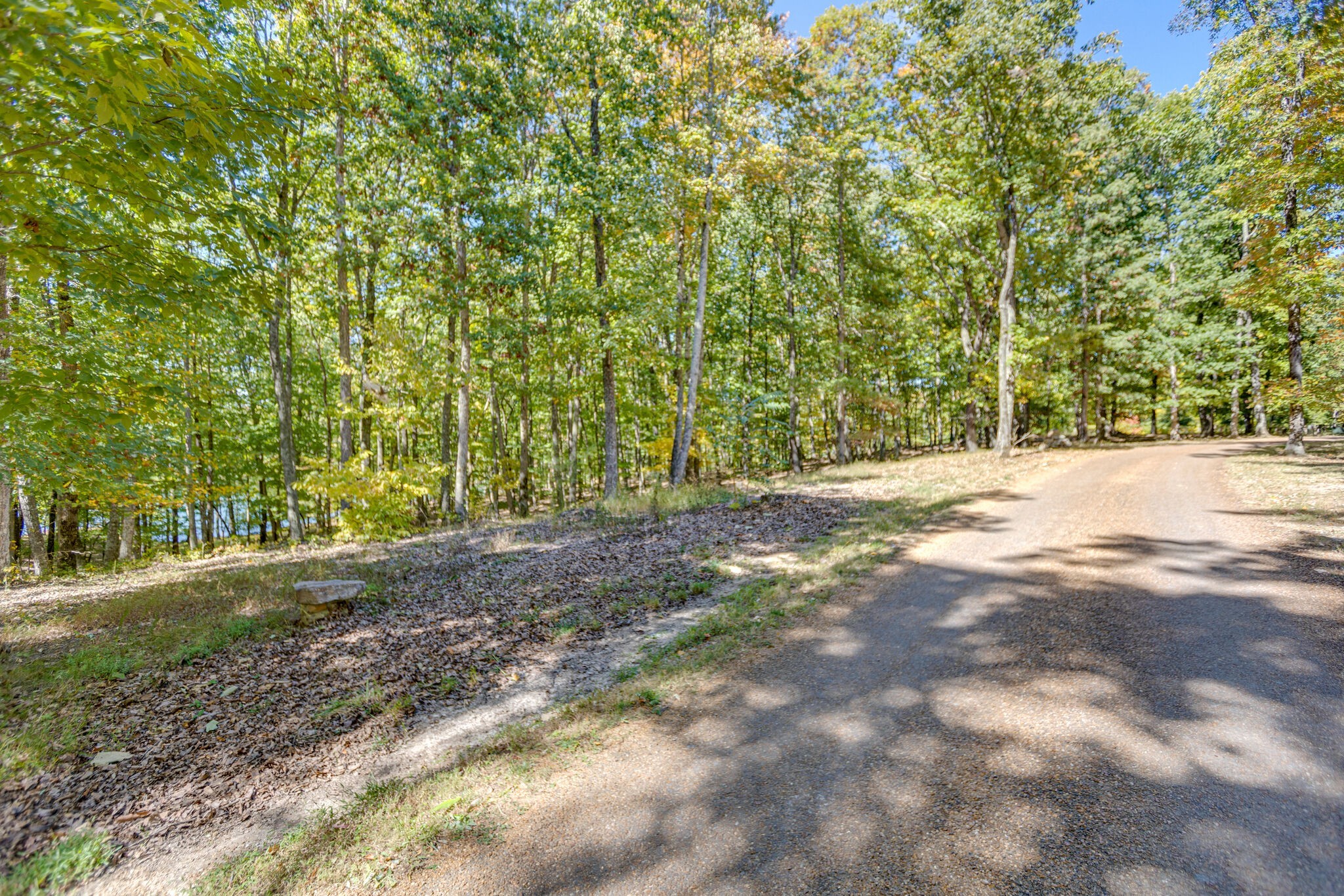 1 Myers Point Road Sewanee, TN 37375 - Photo 6 of 28 Gallery Image 6