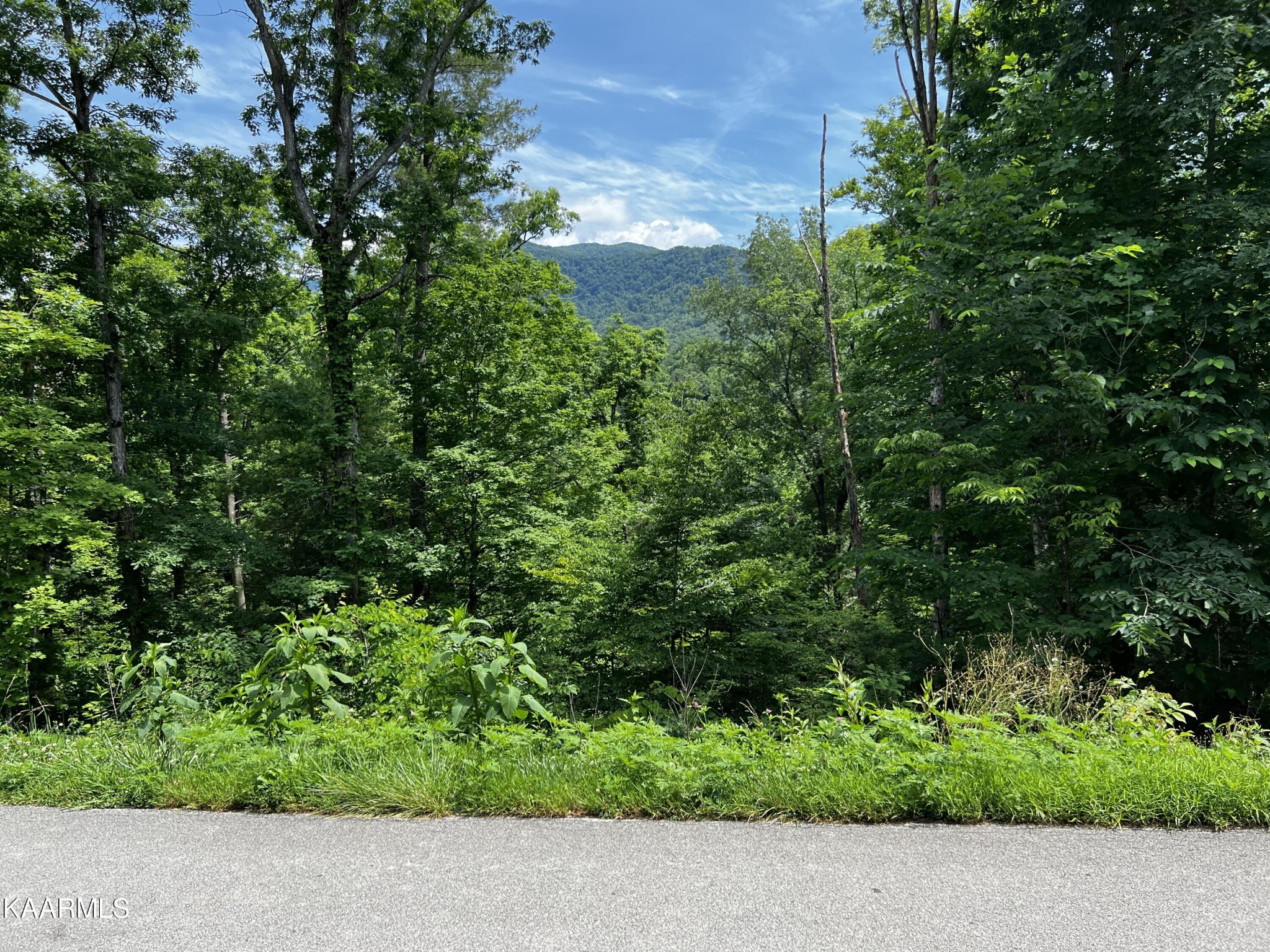0 Lot 26 Laurel Road Townsend, TN 37882 - Photo 1 of 7 a view of a garden with a tree