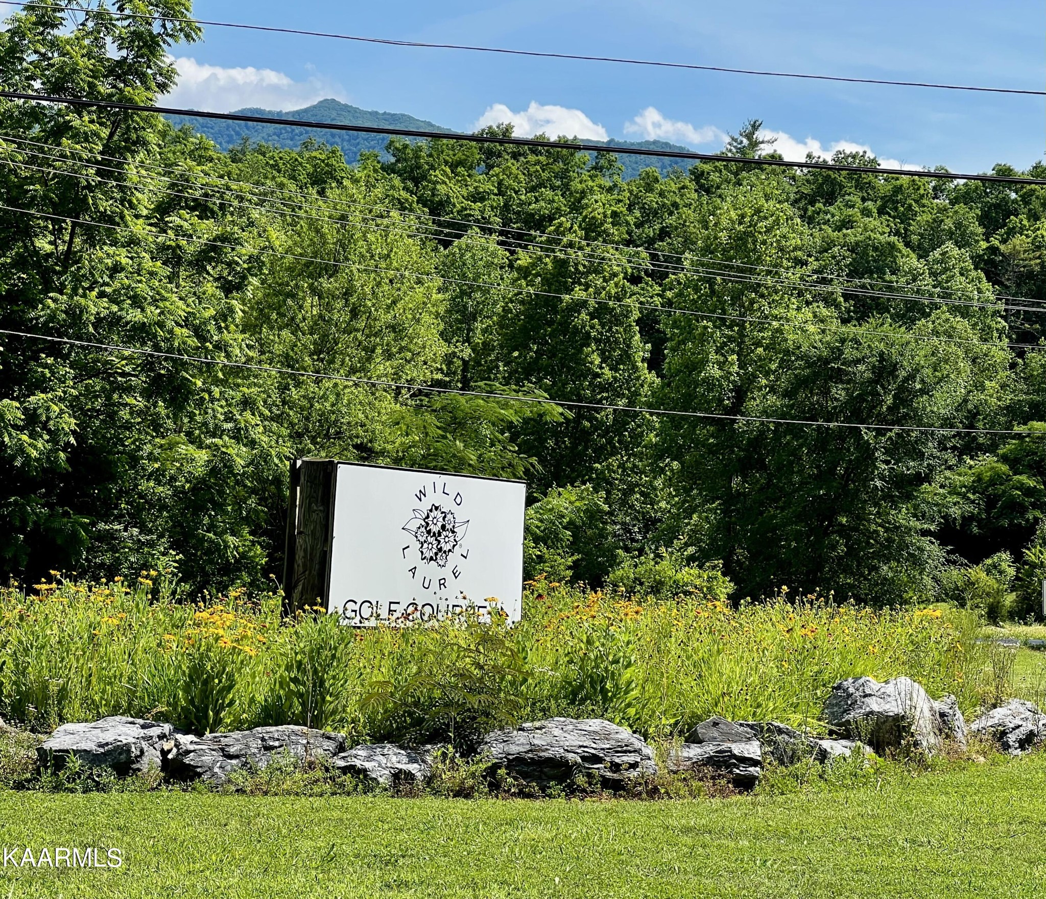 0 Lot 26 Laurel Road Townsend, TN 37882 - Photo 4 of 7 a view of a garden
