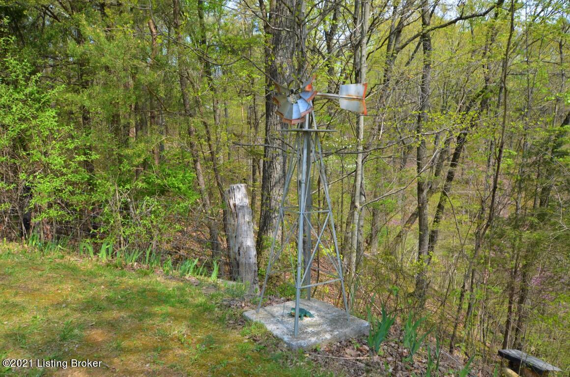 816 Roy Layne Road Lebanon Junction, KY 40150 - Photo 49 of 70 DSC_0734