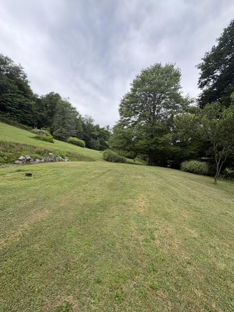 118 Foster Road Beaver Falls, PA 15010 - Photo 33 of 47 Land/yard