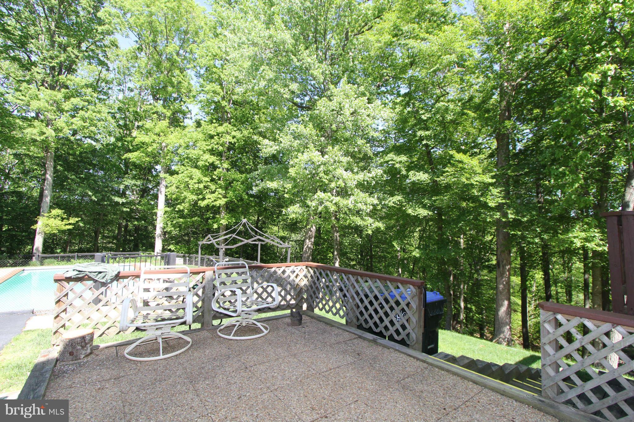 12125 Popes Head Road Fairfax, VA 22030 - Photo 4 of 29 Patio