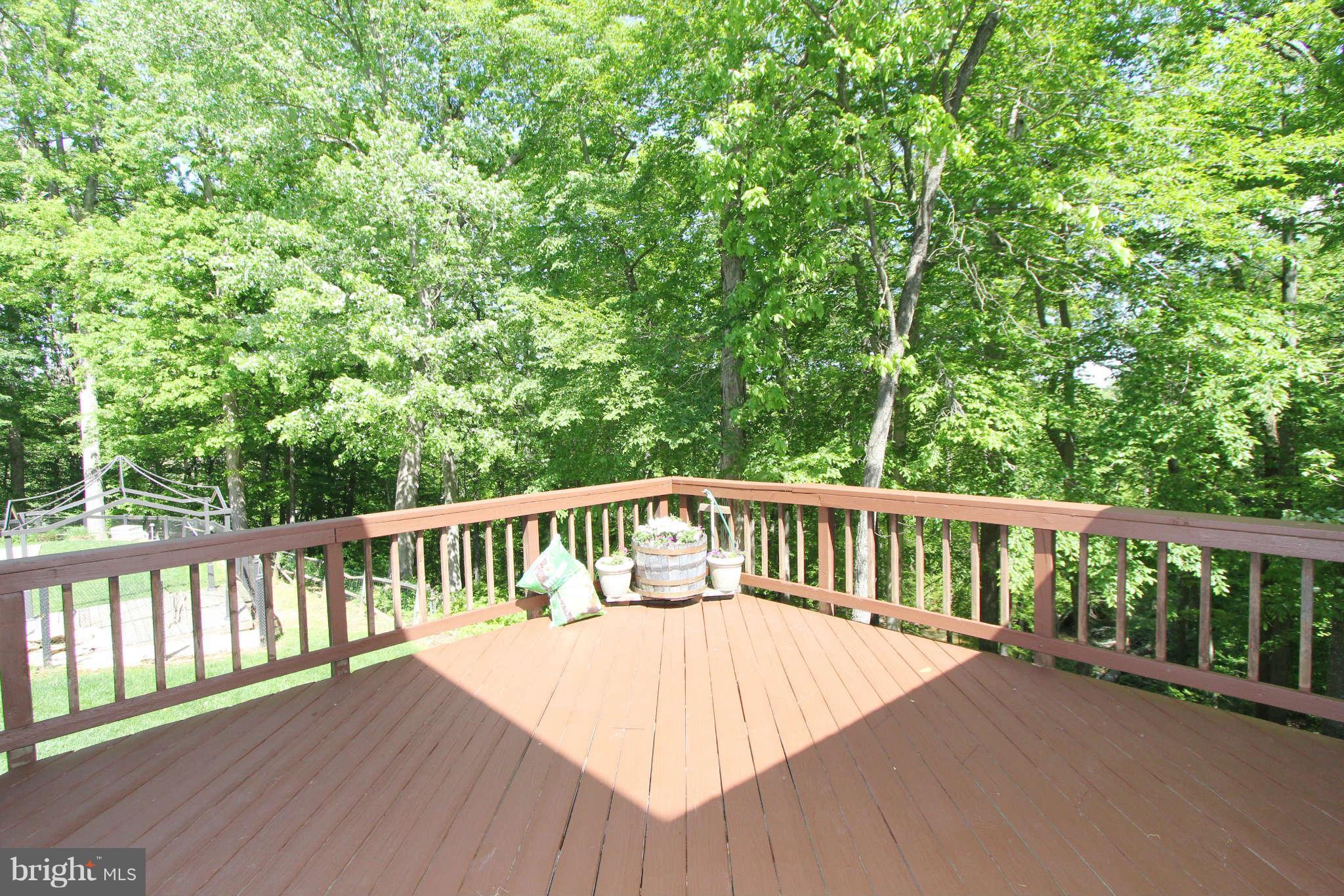 12125 Popes Head Road Fairfax, VA 22030 - Photo 6 of 29 Deck 1