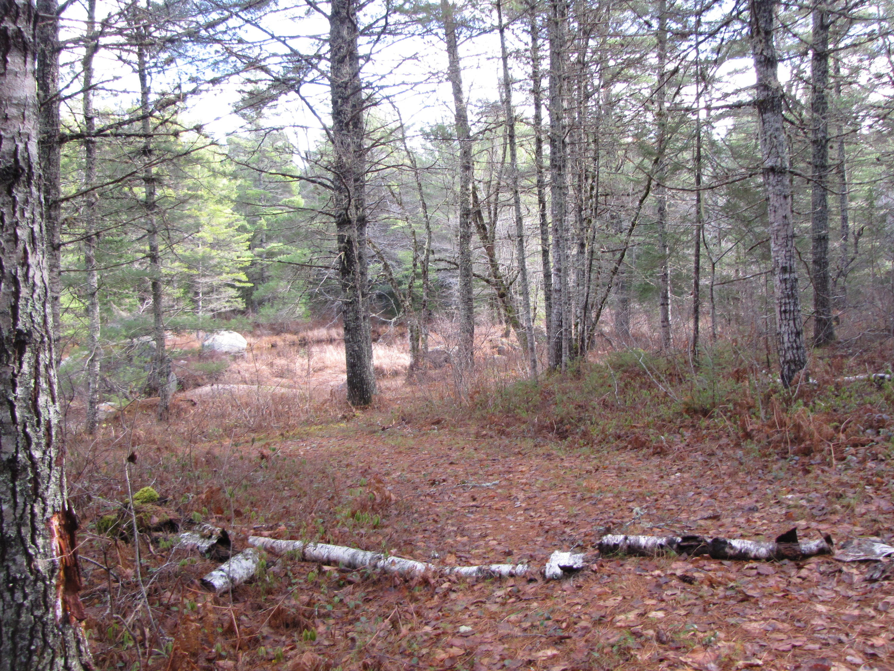 X X Off Ccc Road Machias, ME 04654 - Photo 8 of 57 IMG_1608