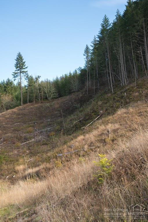 0 Camas Swale Road Creswell, OR 97426 - Photo 15 of 21 Additional Photo